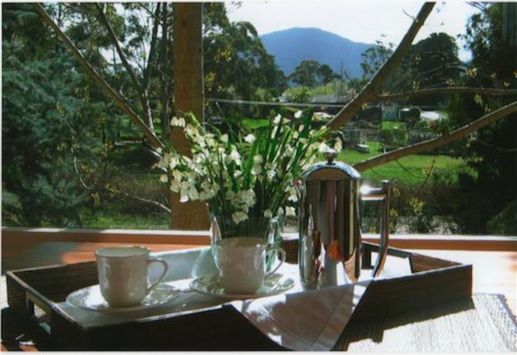 메이스던 Hollyhock B&B 외부 사진