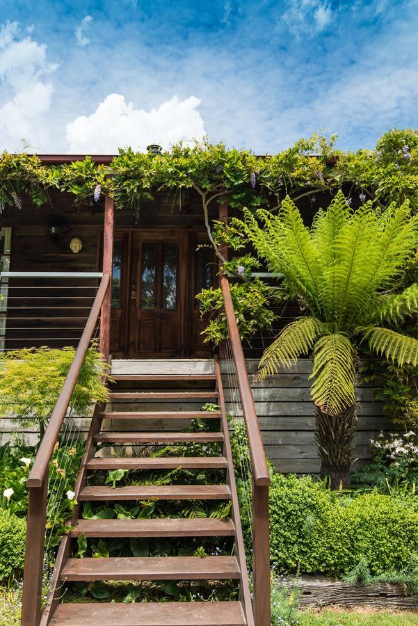 메이스던 Hollyhock B&B 외부 사진