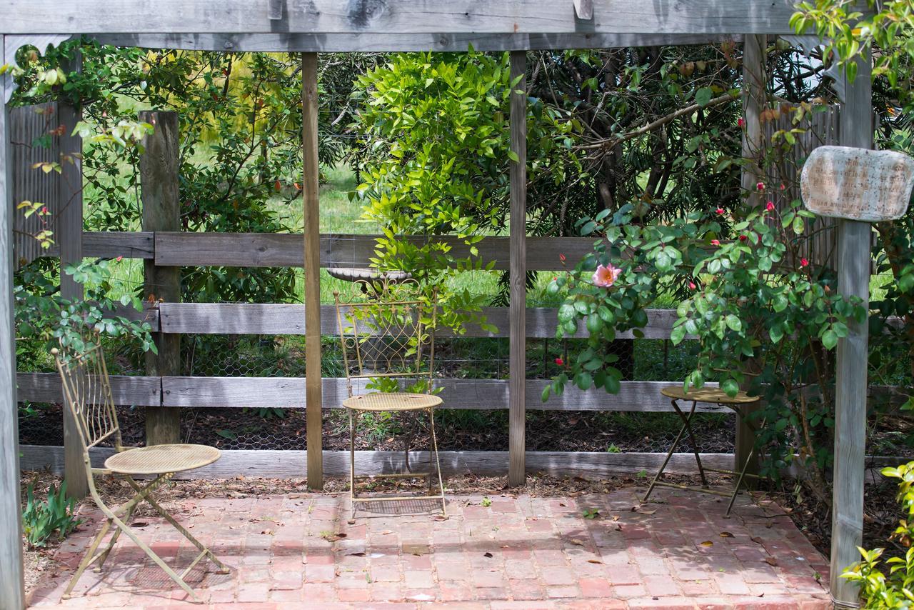 메이스던 Hollyhock B&B 외부 사진