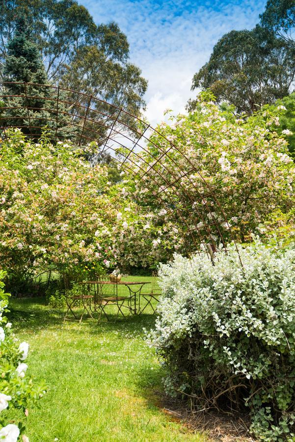 메이스던 Hollyhock B&B 외부 사진